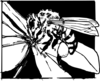 Bee On Flower Clip Art